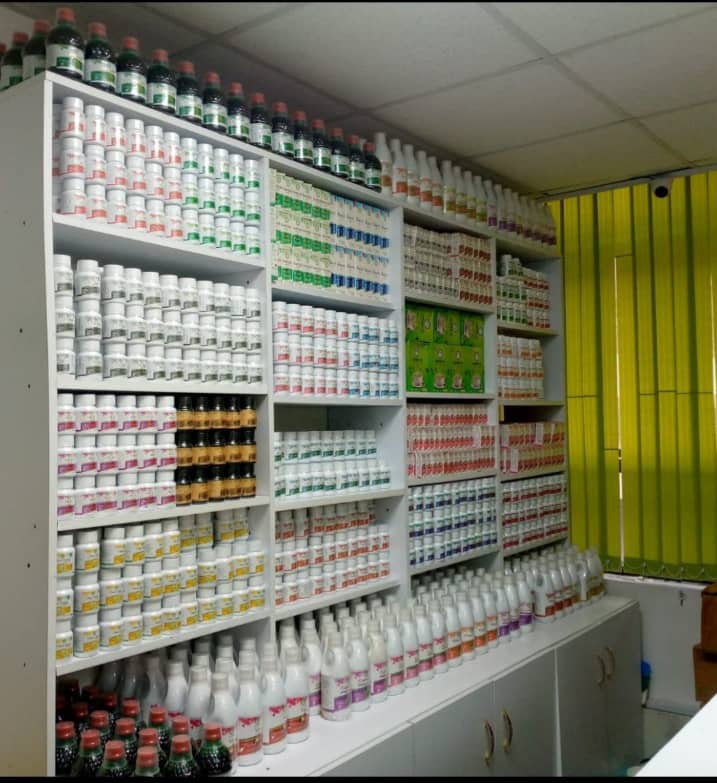 Champolo Store shelves stocked with herbal remedies and supplements